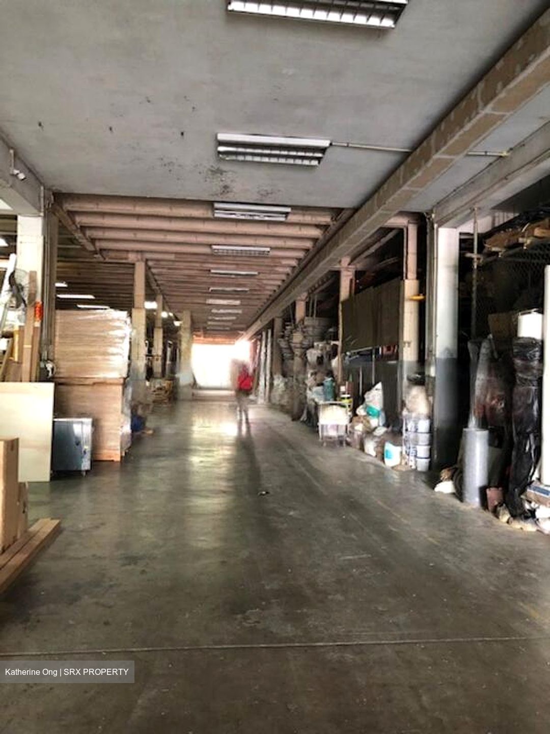 1 North Coast (D25), Factory #565781941